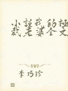 小说我的极品总裁老婆全文免费