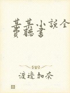 某某小说全集免费听书