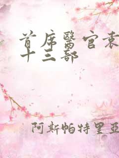 首席医官袁礴版十三部