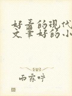好看的现代言情文笔好的小说