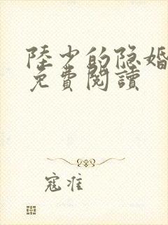 陆少的隐婚罪妻免费阅读