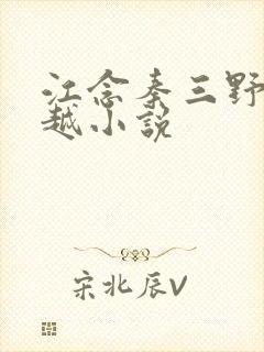 江念秦三野的穿越小说