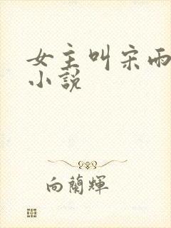 女主叫宋雨桐的小说