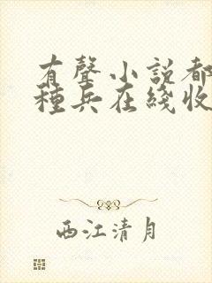 有声小说都市特种兵在线收听免费的