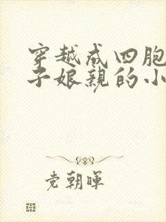 穿越成四胞胎儿子娘亲的小说