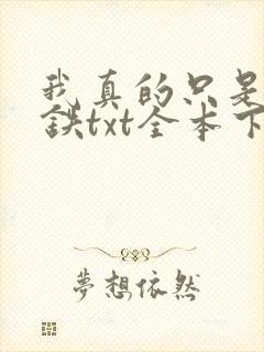 我真的只是想打铁txt全本下载