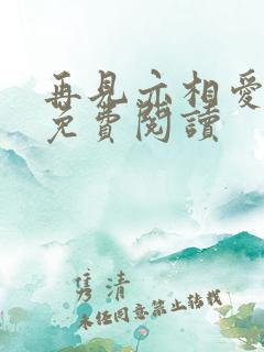 再见亦相爱小说免费阅读