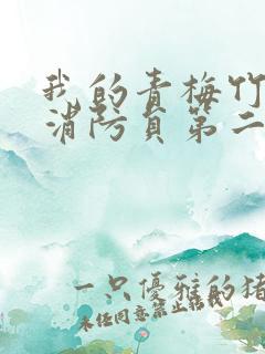 我的青梅竹马是消防员第二季完