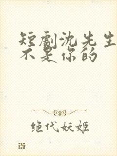 短剧沈先生孩子不是你的