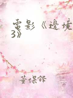 电影《边境杀手3》