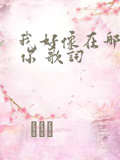 我好像在哪见过你 歌词