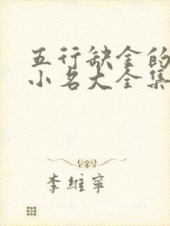 五行缺金的男孩小名大全集