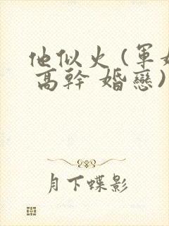 他似火 (军婚 高干 婚恋)小说免费阅读