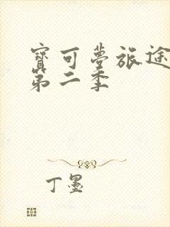 宝可梦旅途动漫第二季