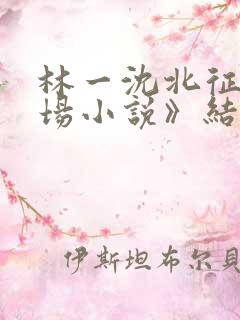 林一沈北征《官场小说》结局