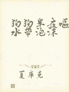 狗狗半夜呕吐黄水带泡沫