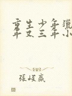 重生少年猎美三年又三年小说免费阅读下载