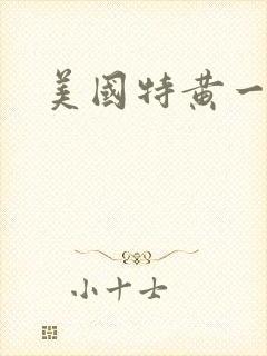 美国特黄一级片