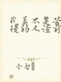 我真不是苦情天后的人渣前男友小说