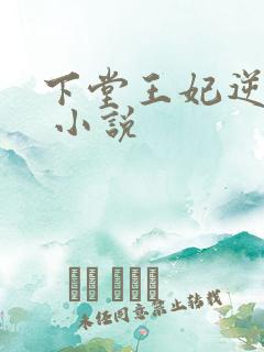 下堂王妃逆袭记 小说