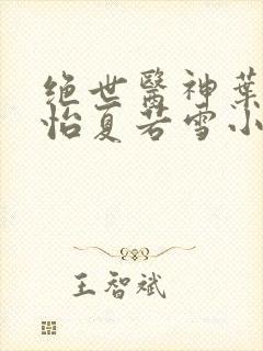 绝世医神叶辰孙怡夏若雪小说