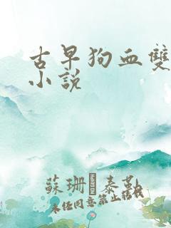 古早狗血双男主小说