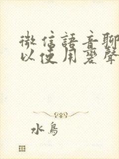 微信语音聊天可以使用变声器吗