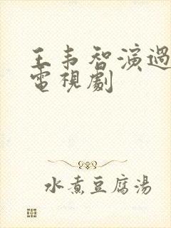 王韦智演过哪些电视剧