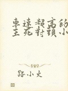 车速超高的双男主死对头小说