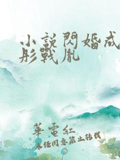 小说闪婚成宠海彤战胤