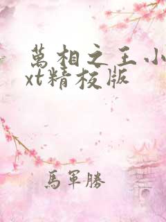 万相之王小说txt精校版