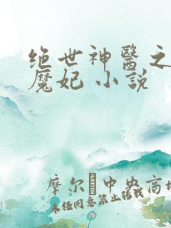 绝世神医之逆天魔妃 小说