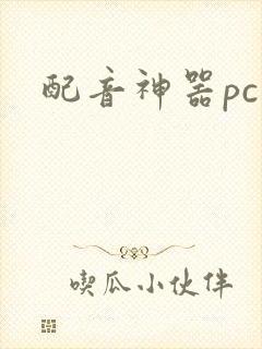 配音神器pc版
