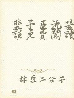 裴予臣沈若晗小说免费阅读最新章节