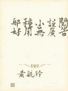 哪种小说阅读器好用无广告的