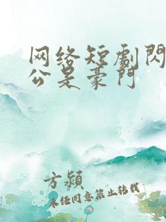 网络短剧闪婚老公是豪门