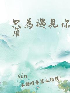 只为遇见你女主角