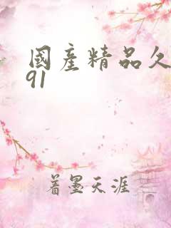 国产精品久久久91