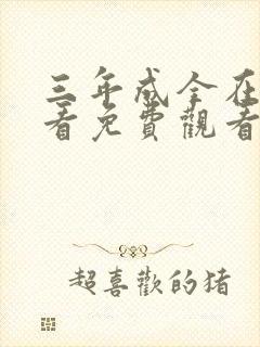 三年成全在线观看免费观看第24