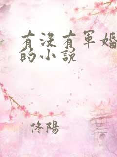 有没有军婚好看的小说