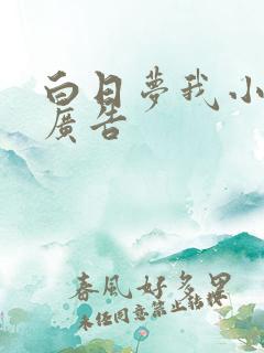 白日梦我小说无广告