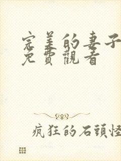 完美的妻子日剧免费观看