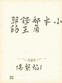 羿锋哪本小说里的主角