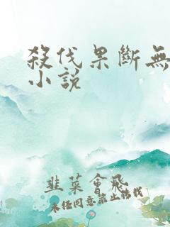 杀伐果断无女主小说