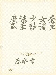 魔法少女奈叶第五季动漫免费