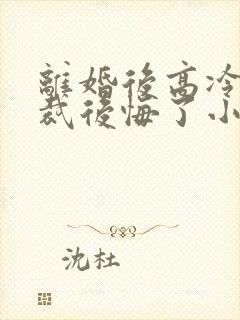 离婚后高冷女总裁后悔了小说