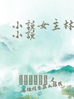 小说女主林晴的小说