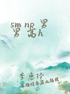 sm np 男男 高h