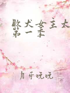 败犬女主太多了第一季