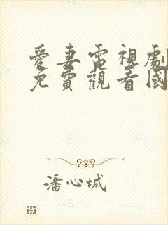 爱妻电视剧泰剧免费观看国语版